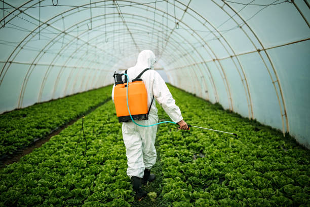 Best Pest Prevention Services  in Red Lion, PA
