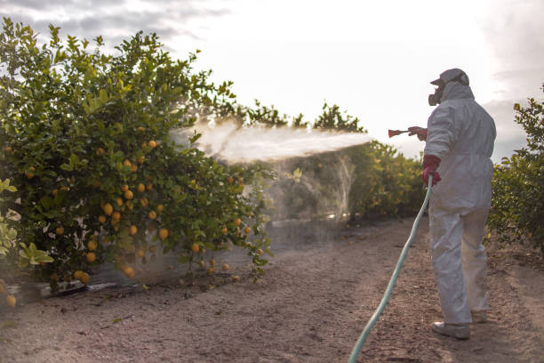 Pest Prevention Services in Red Lion, PA